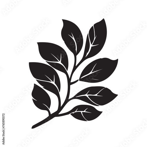 Silhouette of branch with leaves from young tree isolated on a white background