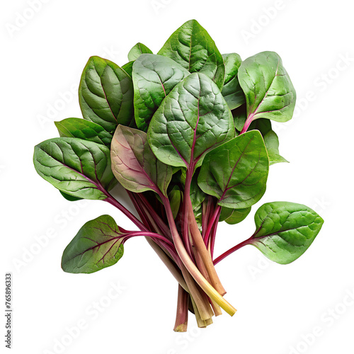 malabar spinach on cut out background