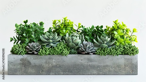 Topiary Succulent Garden in Rectangle Planter pot