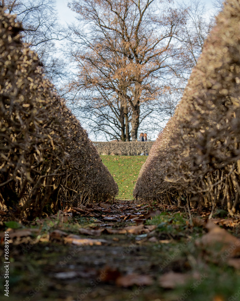 Obraz premium In the tranquil park, autumn unveils its magic as bushes adorned with fallen leaves create a picturesque scene. Nature's palette paints the landscape in hues of gold and crimson, inviting contemplativ