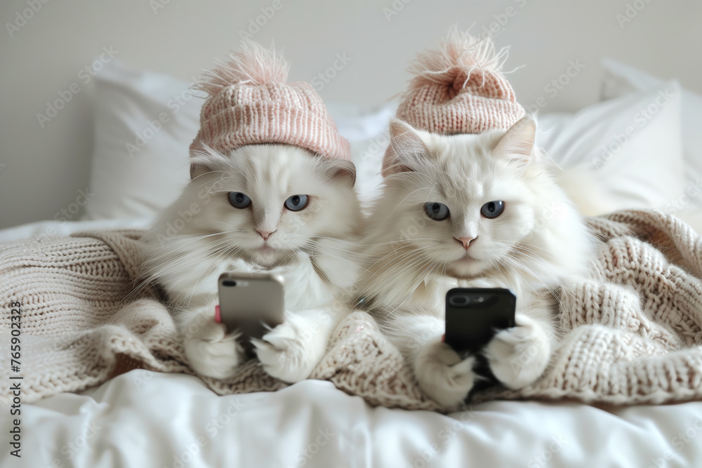 Dwa koty w łóżku trzymające telefony - obrazy, fototapety, plakaty 