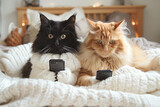 Dwa koty w łóżku trzymające telefony