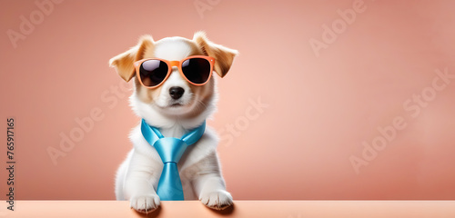 Funny dog in sunglasses on pink background with space for text.