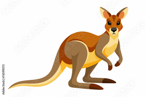Kangaroo vector illustration 