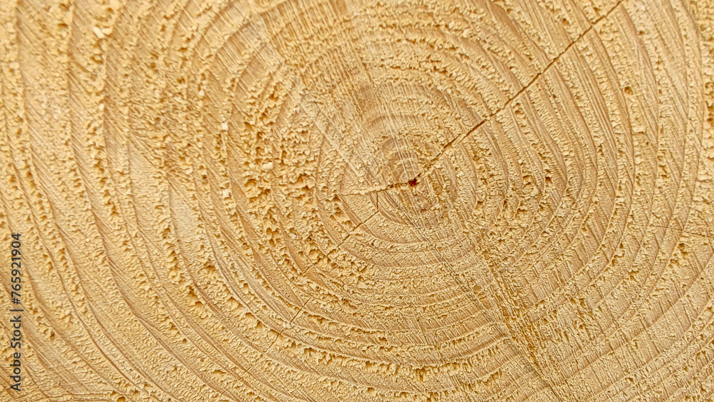 Naklejka premium Wood Texture Wavy Ring Slice Tree Stump Top View Stock