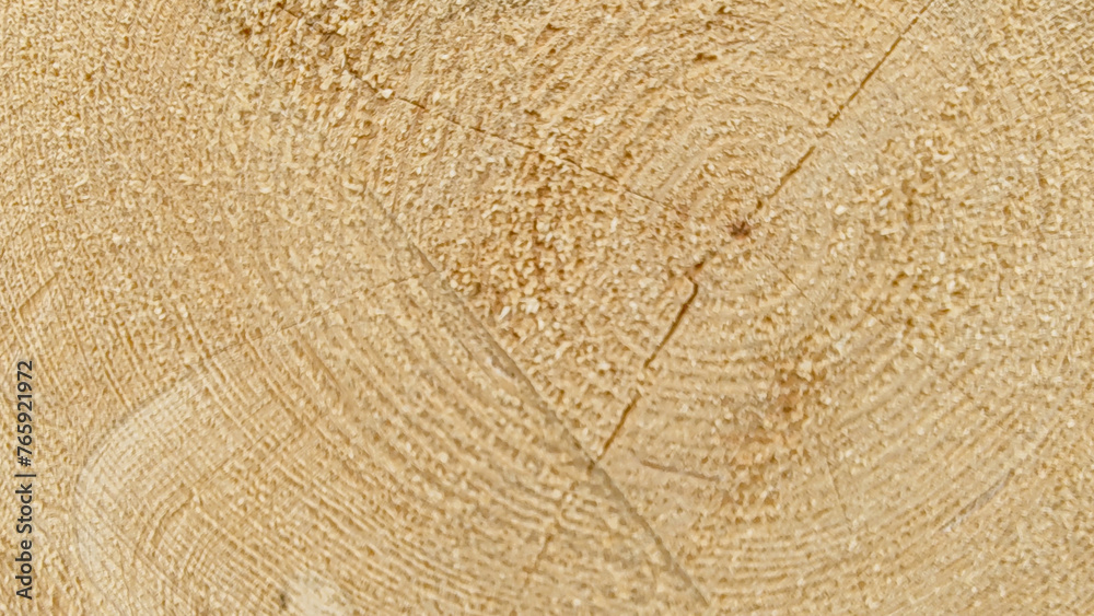 Fototapeta premium Wood Texture Wavy Ring Slice Tree Stump Top View Stock