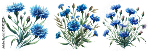 Watercolor Blue cornflower and wildflowers bouquet, isolated illustration, copy space. Floral element for summer wedding stationery and greetings cards.