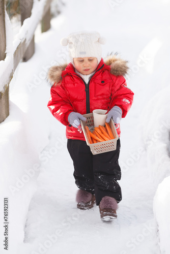 A little girl is holding an animal food box in the contact zoo in winter. Red and black kid's outfit. Vertical image.
