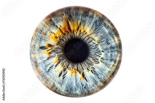 eyeball isolated on white background