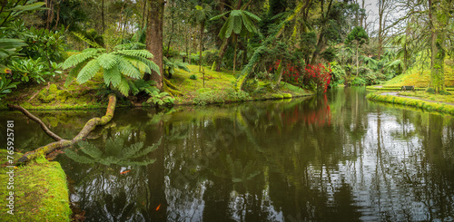 Discover the peaceful ambiance of Parque Terra Nostra reflective pond, surrounded by Sao Miguel verdant greenery and Azores tranquil charm.