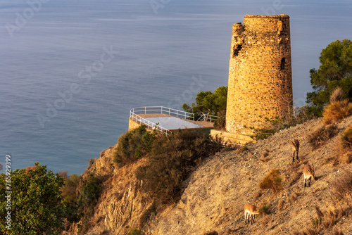Torre del pino, old watchtower in the Cliffs of Maro-Cerro Gordo Natural Park, Nerja, Malaga. photo