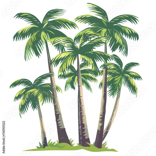 Tree palms isolated flat vector illustration isolat