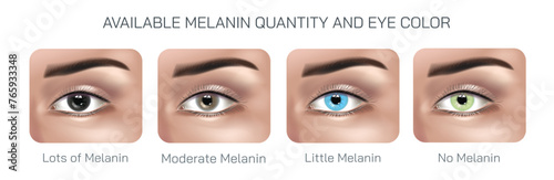 The amount and distribution of melanin in the iris determine the colour of a persons eye. Melanin is a pigment that gives colour to the eyes. Melanin is primarily found in the iris Vector illustration