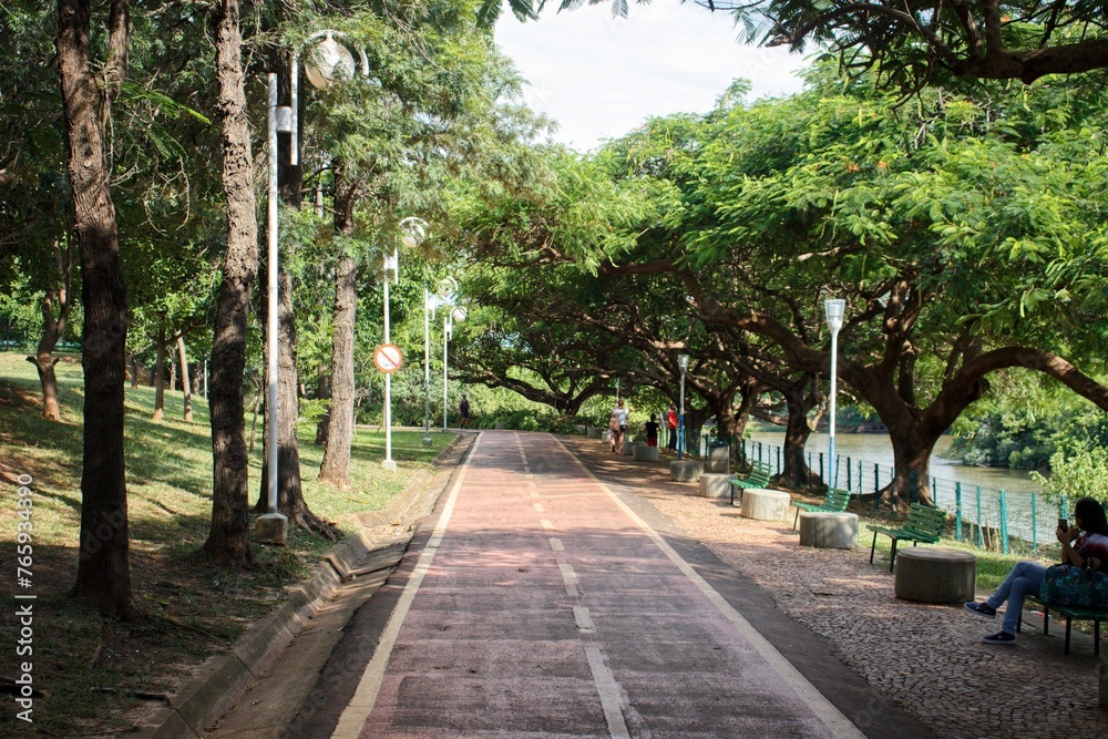 alley in the park alley in the park