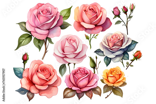 a set of watercolor-style flower clipart featuring classic varieties like tea roses, hybrid roses, and garden roses, perfect for elegant invitations and stationery