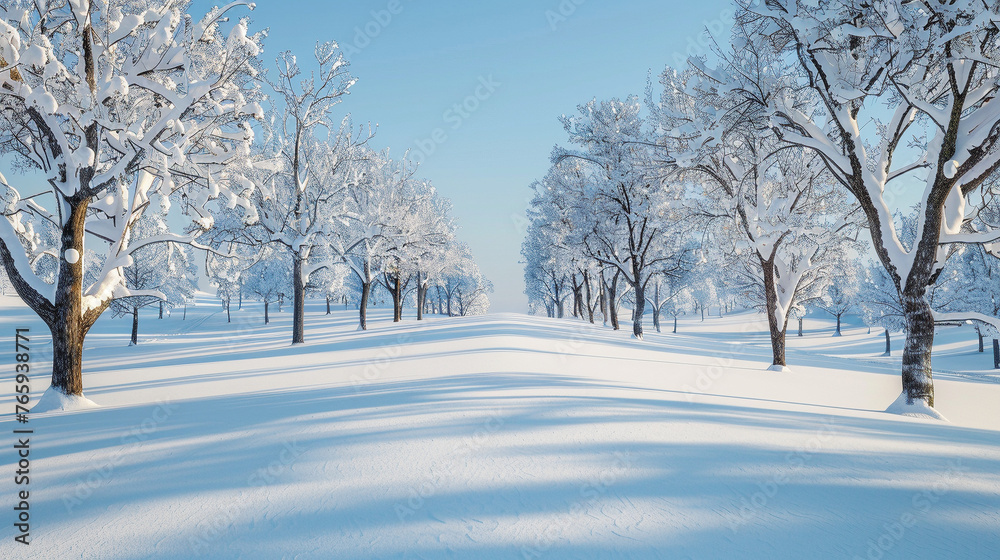 Tranquil Winter Wonderland: Snow-Covered Trees and Fields