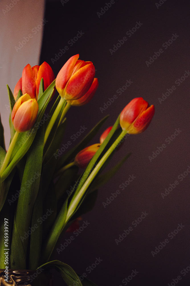Naklejka premium red and yellow tulips