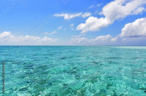 Fototapeta Naklejka Na Ścianę i Meble -  tropical sea