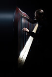 Harp player. Irish harpist playing celtic harp
