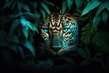 Leopard peering through lush green foliage with striking blue eyes