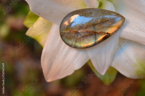 Labradorite mineral gem on the garden