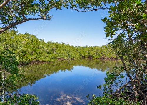 Mangrove islands in the intracoastal waterways is along the Gulf of Mexico at Cockroach Bay in Ruskin  Florida. The islands are framed by red mangrove branches on the shore.