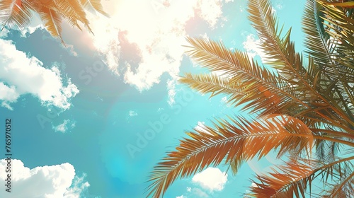 sky with clouds, palms and summer vibes, realistic photograph, bright daylight