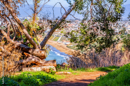 trail with beach view 