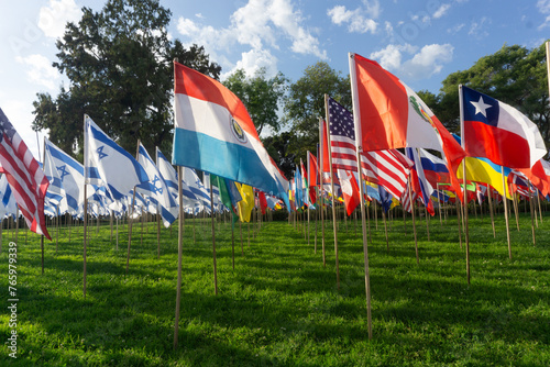 Beverly Hills Flags