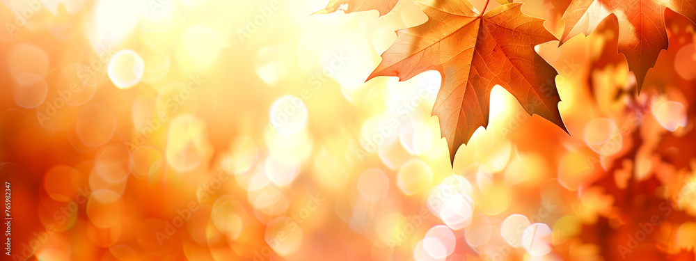 Autumn - Blurred Background