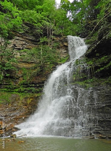 picturesque cathedral falls in summer  near gauley bridge  west virginia