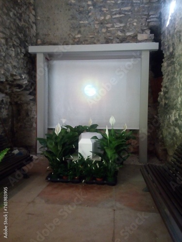 Renaissance life and death