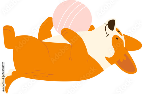 Corgi Playing With Ball