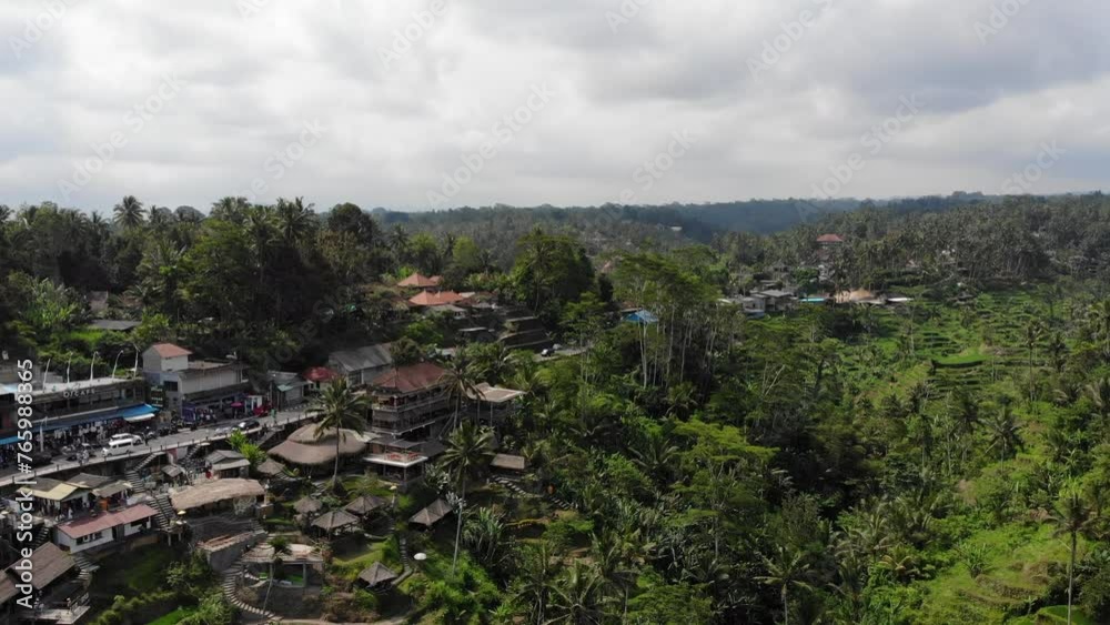 Ceking Rice Terrace in Bali, Indonesia. Rice Fields in Background. Drone Point of View Ceking Rice Terrace in Bali, Indonesia. Rice Fields in Background. Drone Point of View