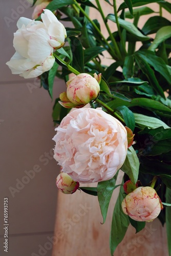 Fototapeta Naklejka Na Ścianę i Meble -  Bouquet of fragrant white and pink herbaceous peony flowers in a vase