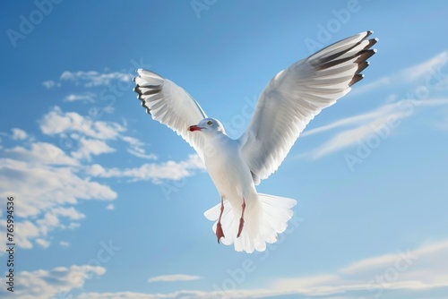 Detailed close-up photo of a seagull in flight against a blue sky 