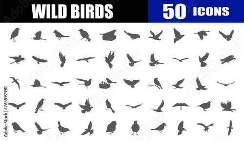 birds icon set. wildlife. animal. collection.