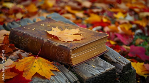 The photo depicts an old book and autumn leaves placed on an old wooden table outdoors, captured in