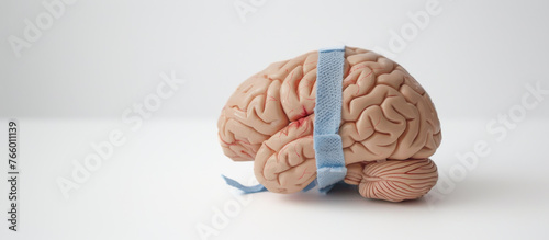 Human Brain with Blue Bandage on White Seamless Background. Representing Mental Health, Concussion, & Brain Damage. Room for Copy & Text