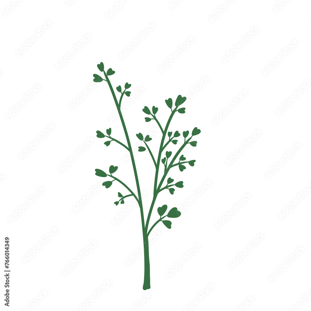 Wild plants illustration Wild plants illustration
