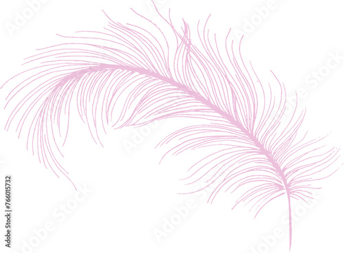 soft fluffy pink feather