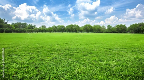 Expansive meadow under vast and serene sky, perfect nature background for scenic views