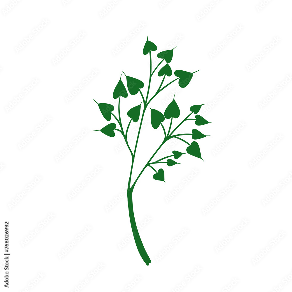 Fototapeta premium Wild plants illustration
