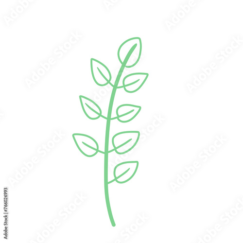 Wild plants illustration