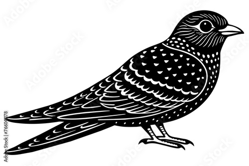 nighthawk silhouette vector illustration photo