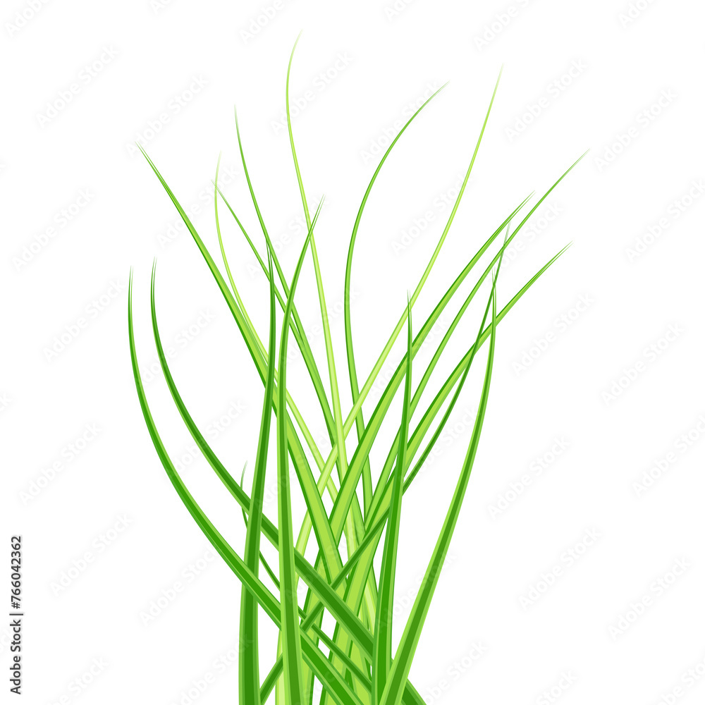 green grass. Grass bushes of different shapes. Hand drawn grass. Green grass, clover, wheat ears .transparent, png. green grass. Grass bushes of different shapes. Hand drawn grass. Green grass, clover, wheat ears .transparent, png.
