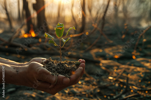 A person is holding a small plant in their hands. The plant is surrounded by dirt and leaves, and the person is holding it up to the camera. Concept of care and nurturing
