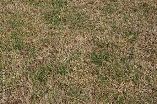 Full frame image of dead grass