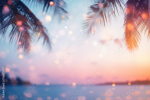 Palm leaves on the background of the sunset and the sea © Aida