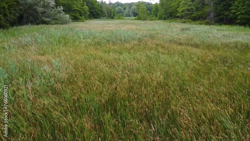 A drone flight over tall grass on a windy day.